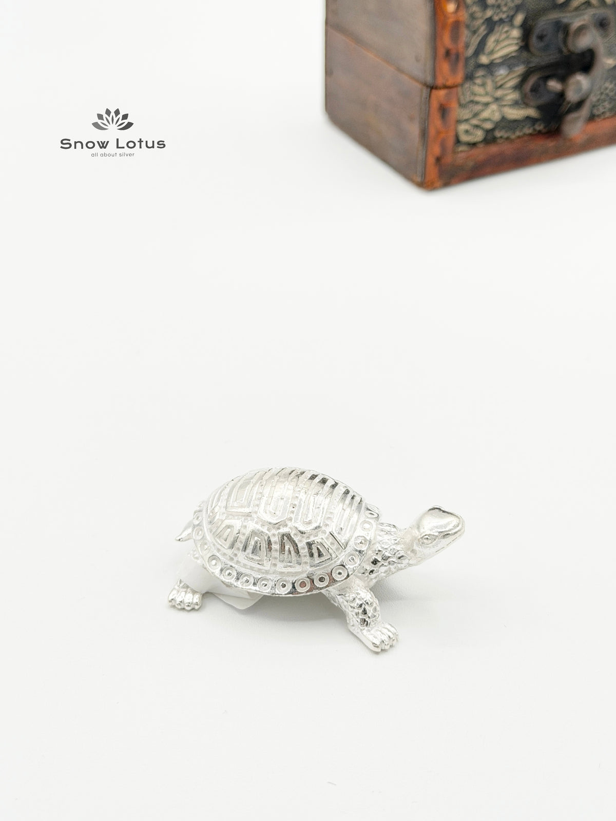 Turtle Silver Solid 3D
