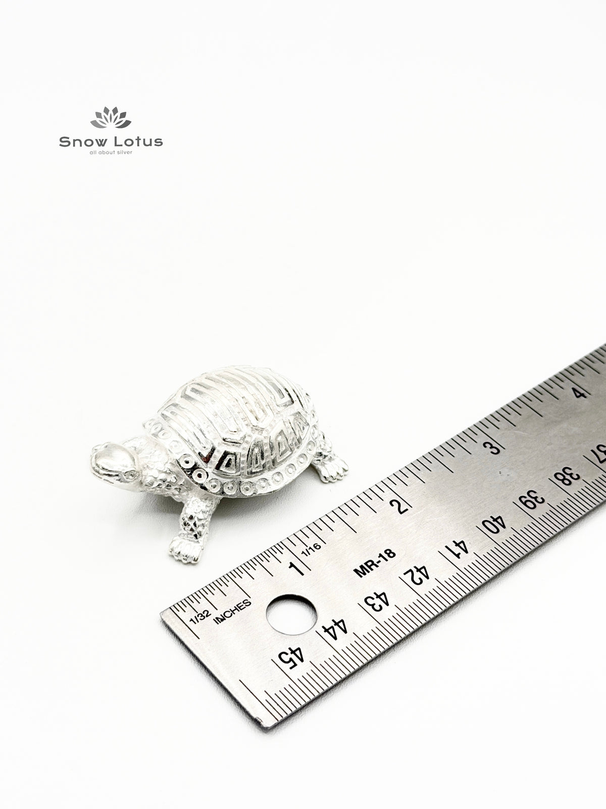 Turtle Silver Solid 3D