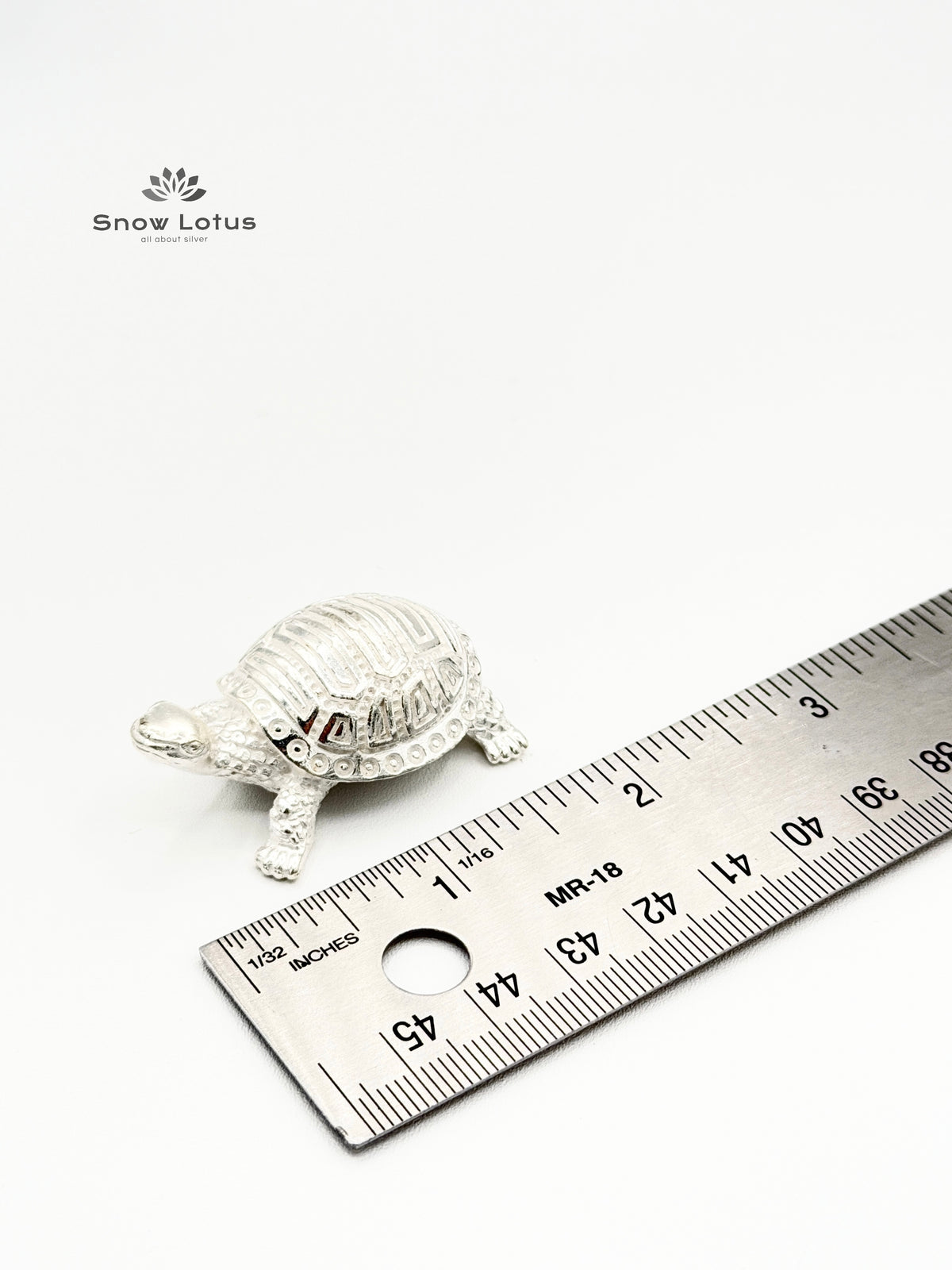 Turtle Silver Solid 3D