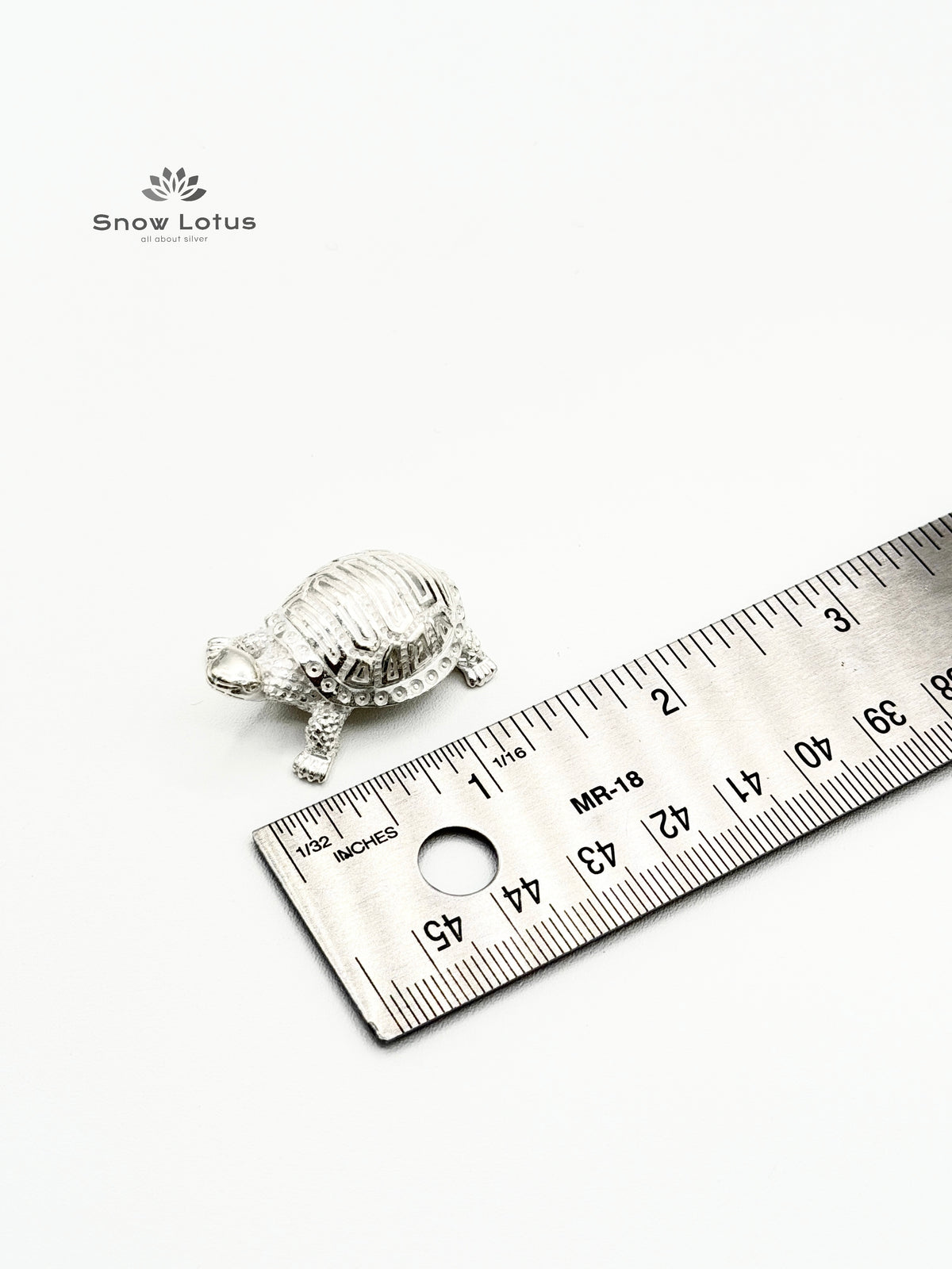 Turtle Silver Solid 3D