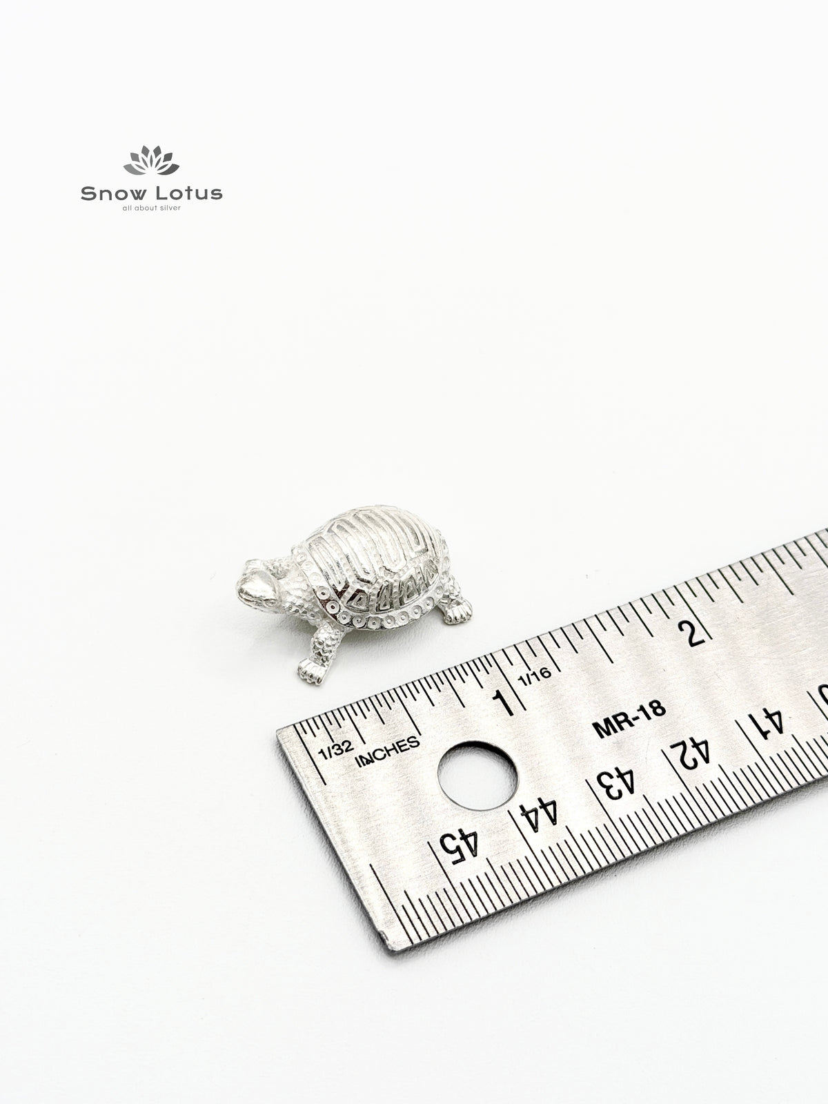 Turtle Silver Solid 3D